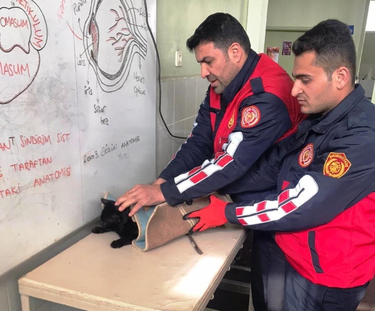 Şanlıurfa&rsquo;da kedi kurtarma operasyonu