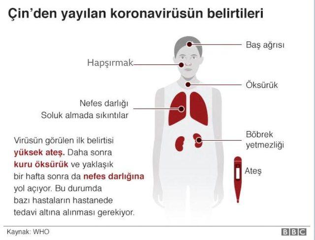 Koronavirüs inforgrafiği