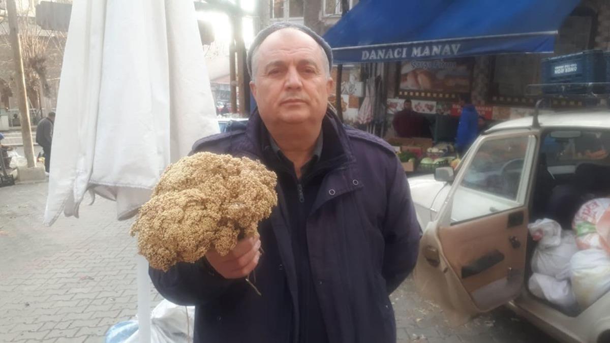 Kış g&uuml;nlerinin şifa kaynağı Akbaşlı otu pazar tezgahında