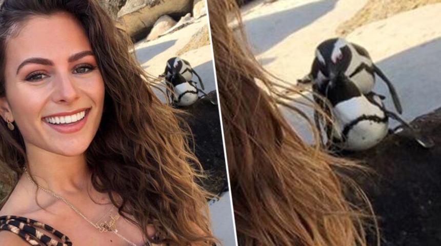 Sosyal medya fenomeni penguenlerden &ouml;z&uuml;r diledi!