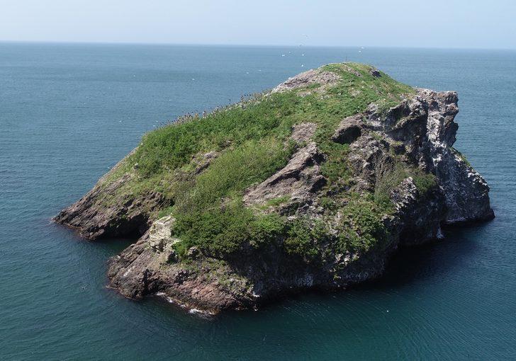 Hoynat Adası turistlerin gözdesi oldu G1