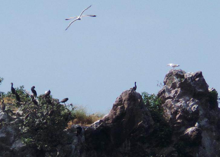 Hoynat Adası turistlerin gözdesi oldu G3