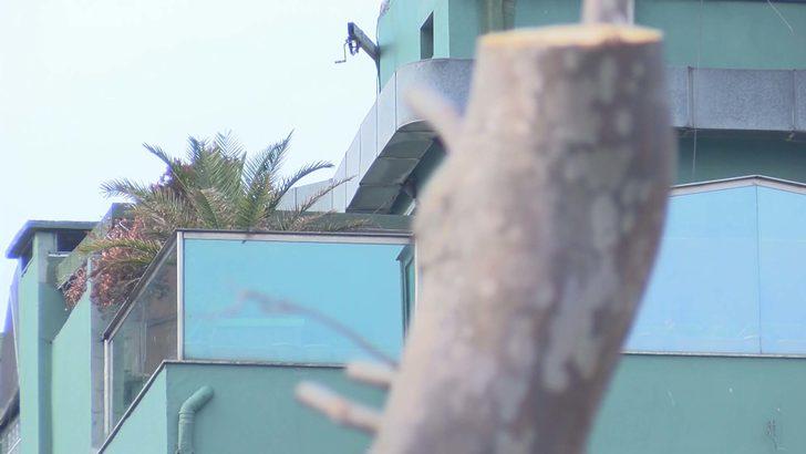 İBB'den Gezi Parkı'nda ağaç kararı!  G1