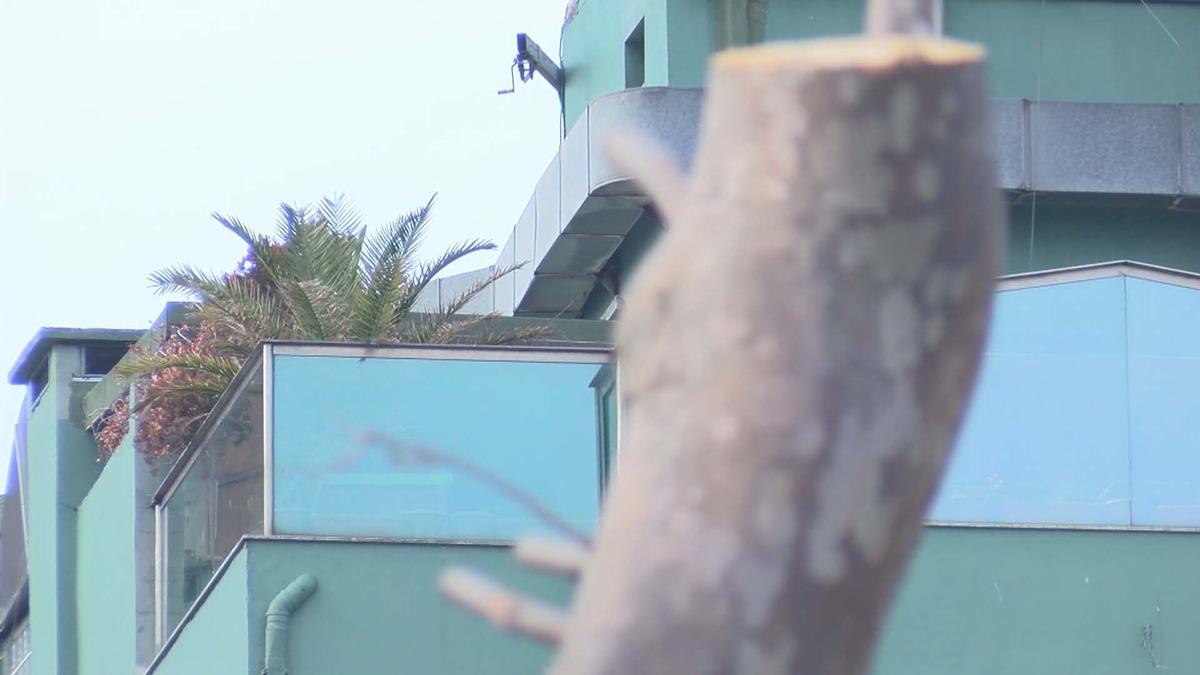 İBB'den Gezi Parkı'nda ağa&ccedil; kararı! 