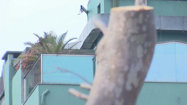 İBB'den Gezi Parkı'nda ağaç kararı! 