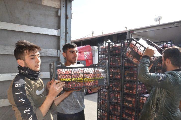 Antalyalı ihracatçılar depremzedelere 40 tonun üzerinde meyve-sebze gönderdi G3