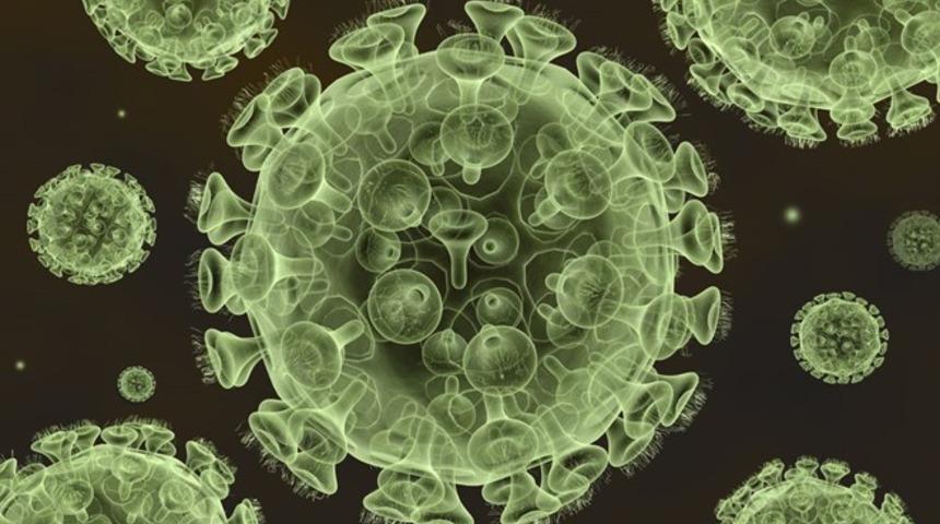 Korona virüsünden sonra şimdi de Lassa ateşi salgını alarmı! Nijerya'da bir ayda 41 kişi öldü