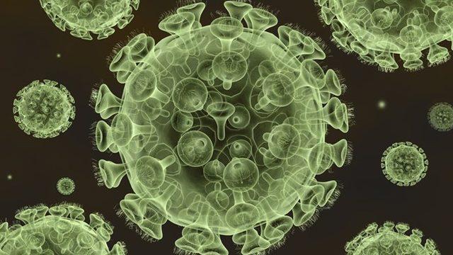 Korona virüsünden sonra şimdi de Lassa ateşi salgını alarmı! Nijerya'da bir ayda 41 kişi öldü