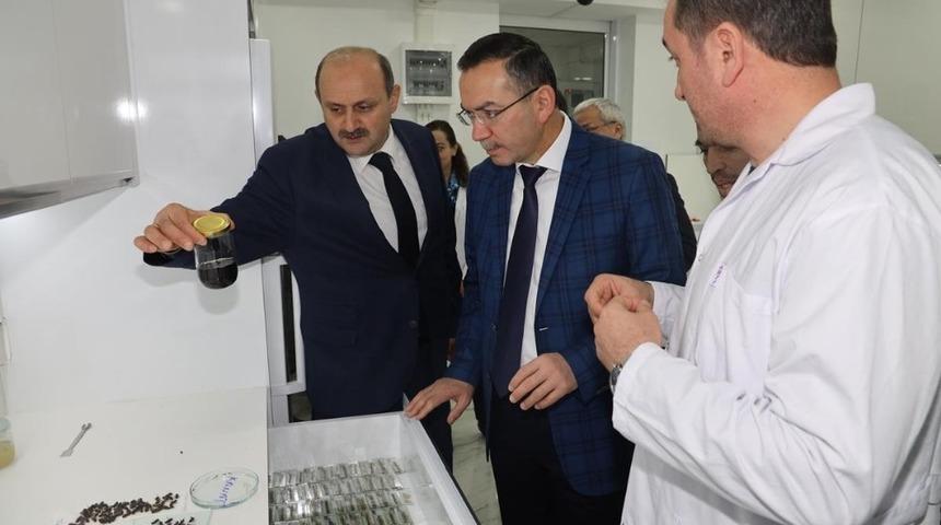 ODÜ-Ordu Arıcılık Araştırma Enstitüsü iş birliği