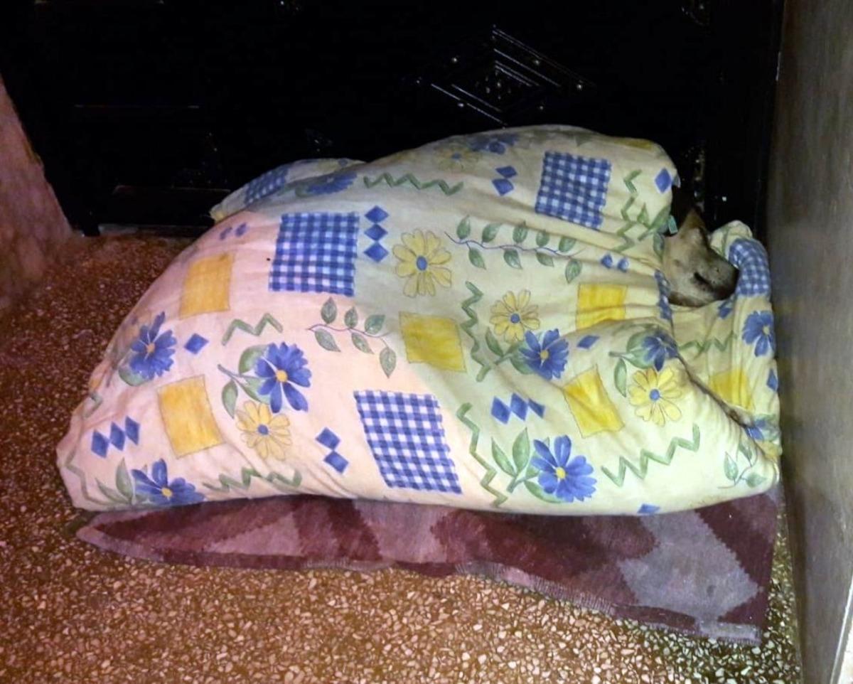 Soğuk kış g&uuml;n&uuml; insanın i&ccedil;ini ısıtan hareket