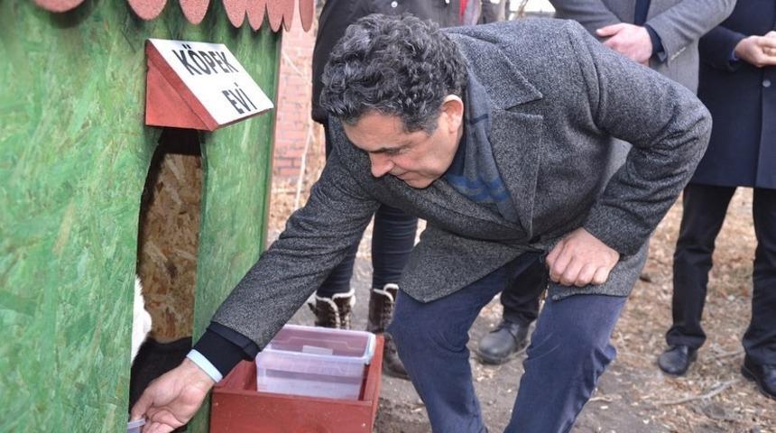 Ardahan&rsquo;da artık sokak hayvanlarının da evi var