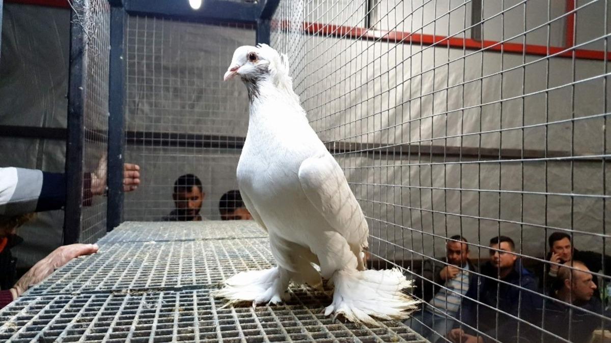 Nazilli&rsquo;de depremzedeler yararına mezat d&uuml;zenlendi