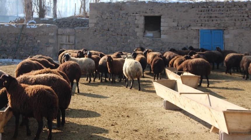 Ekipler, hayvan varlıklarının tespiti i&ccedil;in &ccedil;alışıyor