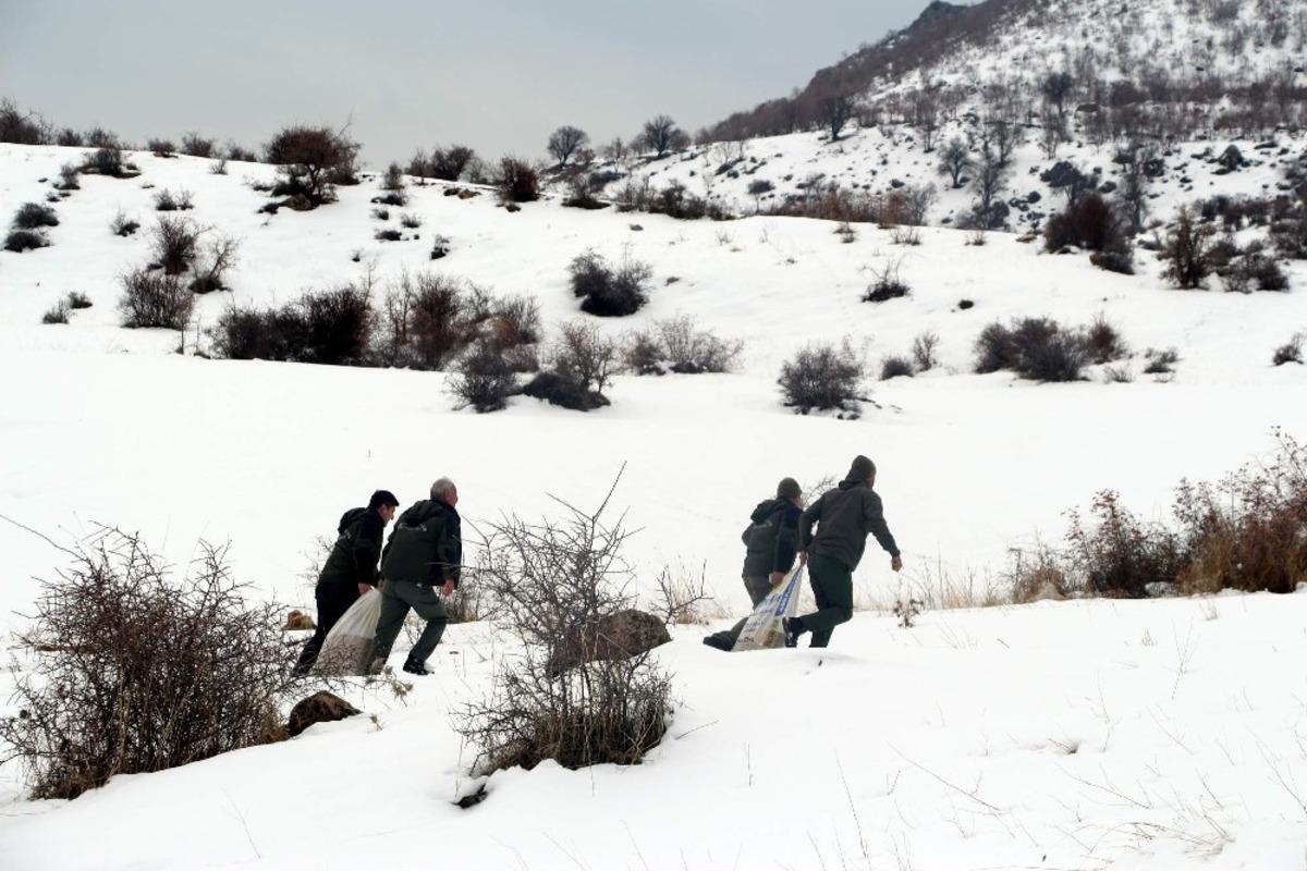 Siirt&rsquo;te yaban hayvanları i&ccedil;in doğaya yem bırakıldı