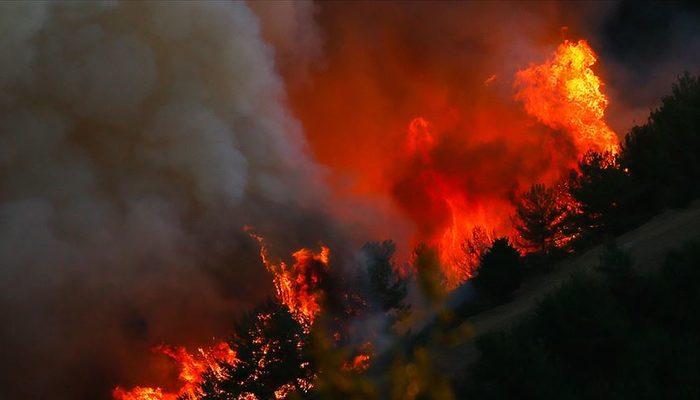 Son dakika: AFAD'dan 81 ile 'orman yangını' genelgesi: Ormanlık alanlara girişler yasaklandı!