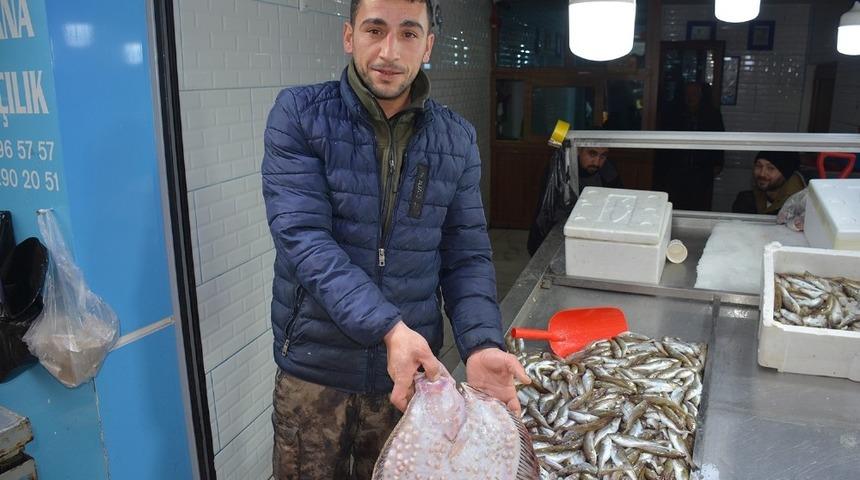 Bu kalkan balığının fiyatı 585 TL