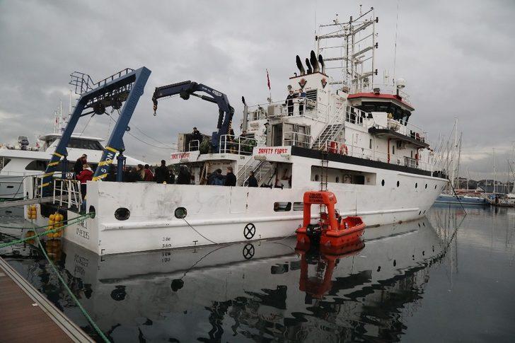 Şahin Antartika yolcusu G2