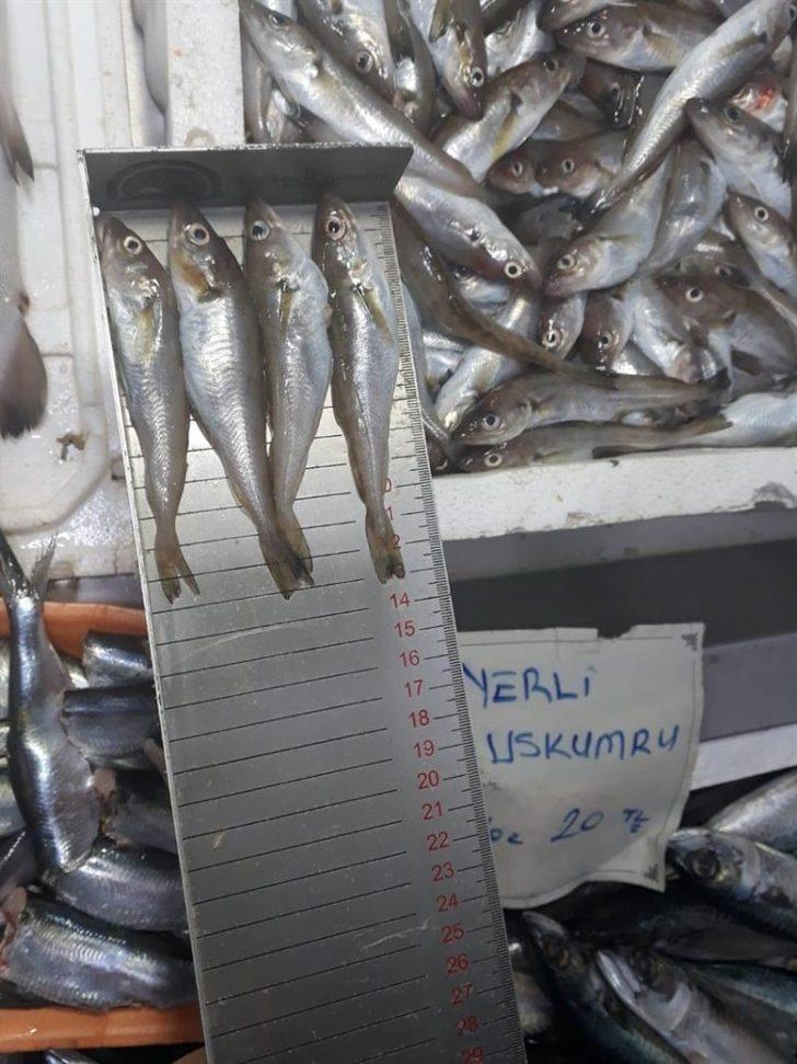 Ordu’da su ürünlerine sıkı denetim G4