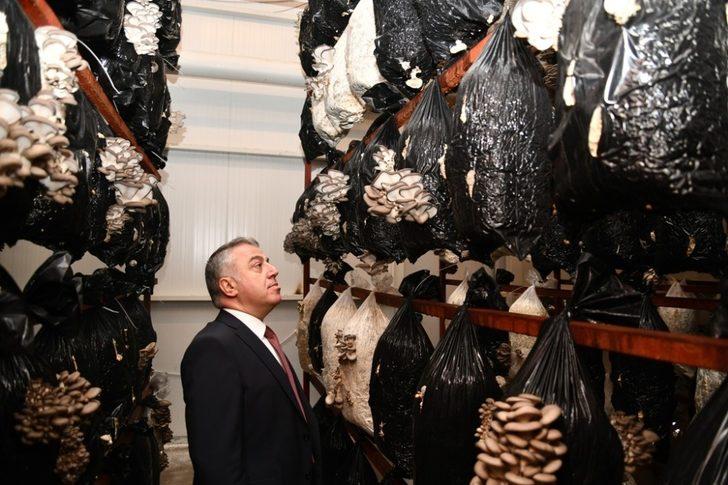 KKDP desteklemeleri meyvesini vermeye devam ediyor G1