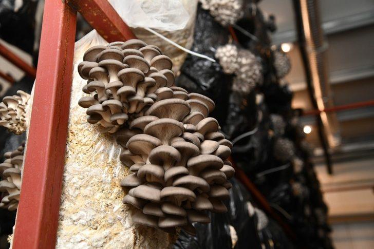 KKDP desteklemeleri meyvesini vermeye devam ediyor G2