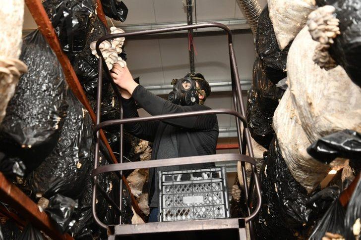 KKDP desteklemeleri meyvesini vermeye devam ediyor G3