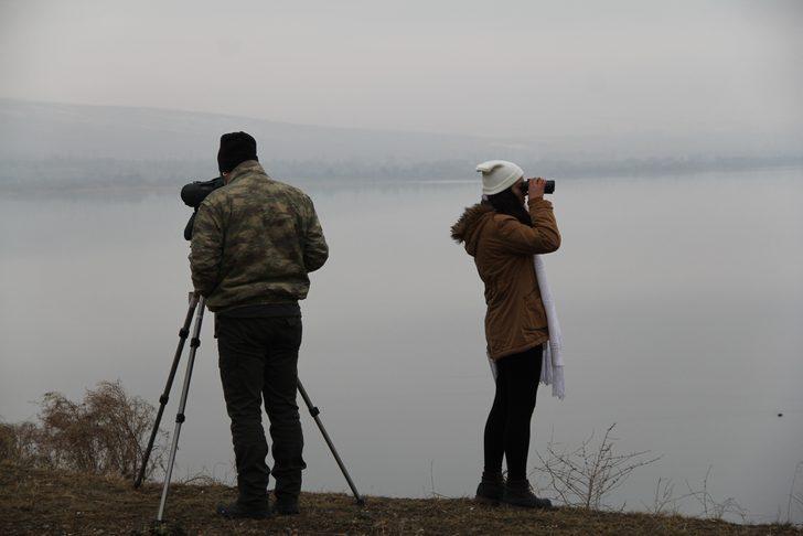 Türkiye’nin yeni kuş cennetinde heyecanlandıran keşif! G2