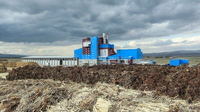 Bordo-mavi elektrik santrali