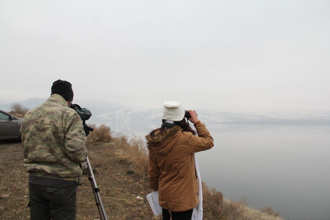 T&uuml;rkiye&rsquo;nin yeni kuş cennetinde heyecanlandıran keşif!