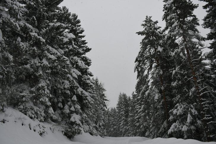 Kafkasör Yaylası doğal güzelliği ile büyülüyor G1