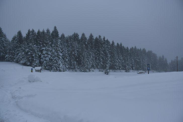 Kafkasör Yaylası doğal güzelliği ile büyülüyor G3
