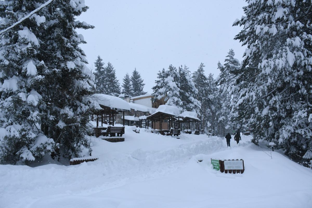 Kafkas&ouml;r Yaylası doğal g&uuml;zelliği ile b&uuml;y&uuml;l&uuml;yor