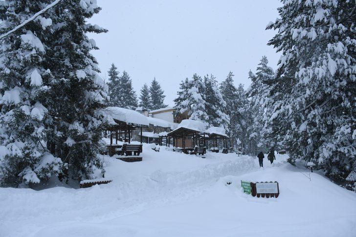 Kafkasör Yaylası doğal güzelliği ile büyülüyor G4