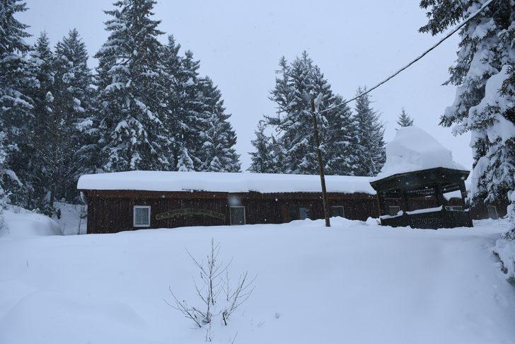 Kafkasör Yaylası doğal güzelliği ile büyülüyor G5