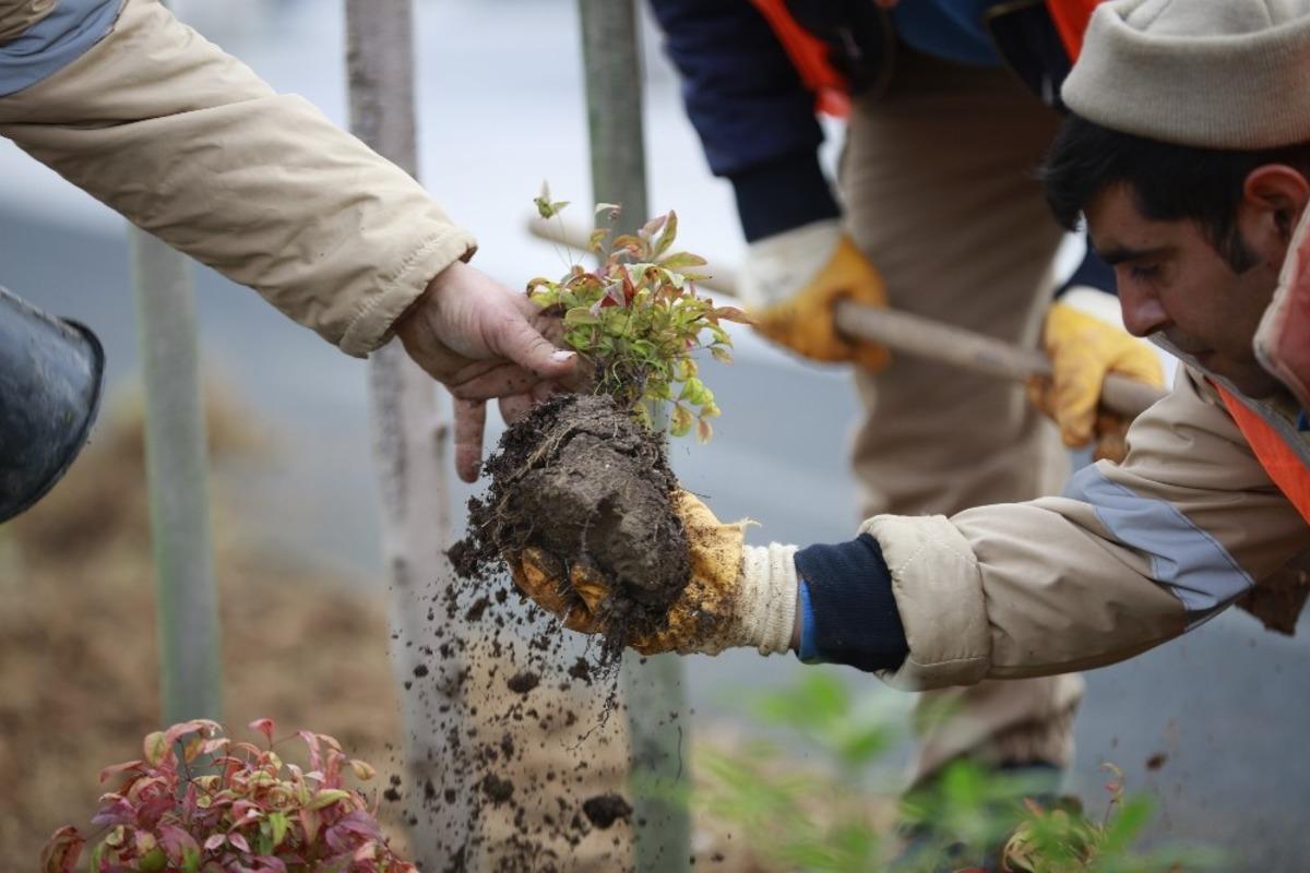 B&uuml;y&uuml;kşehir&rsquo;den Konyaaltı Sahili&rsquo;nde hummalı &ccedil;alışma