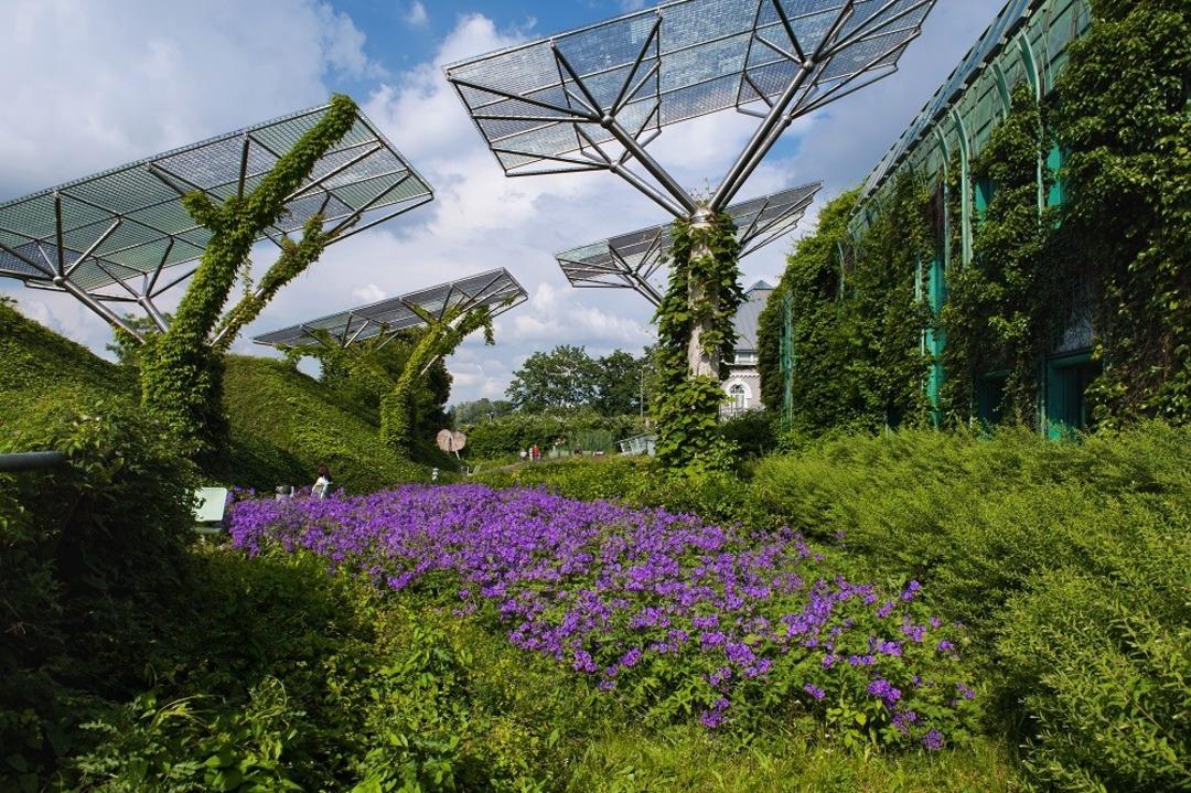 Bunları yalnızca Polonya'da g&ouml;rebilirsiniz!