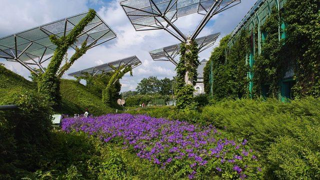 Bunları yalnızca Polonya'da görebilirsiniz!