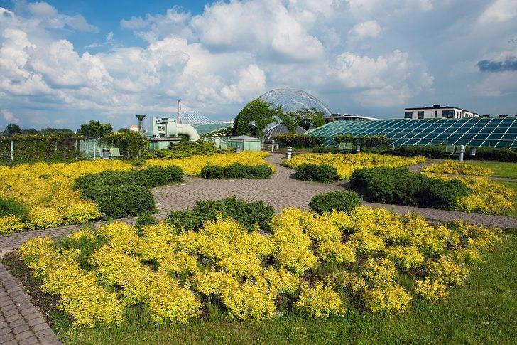 Bunları yalnızca Polonya'da görebilirsiniz! G3