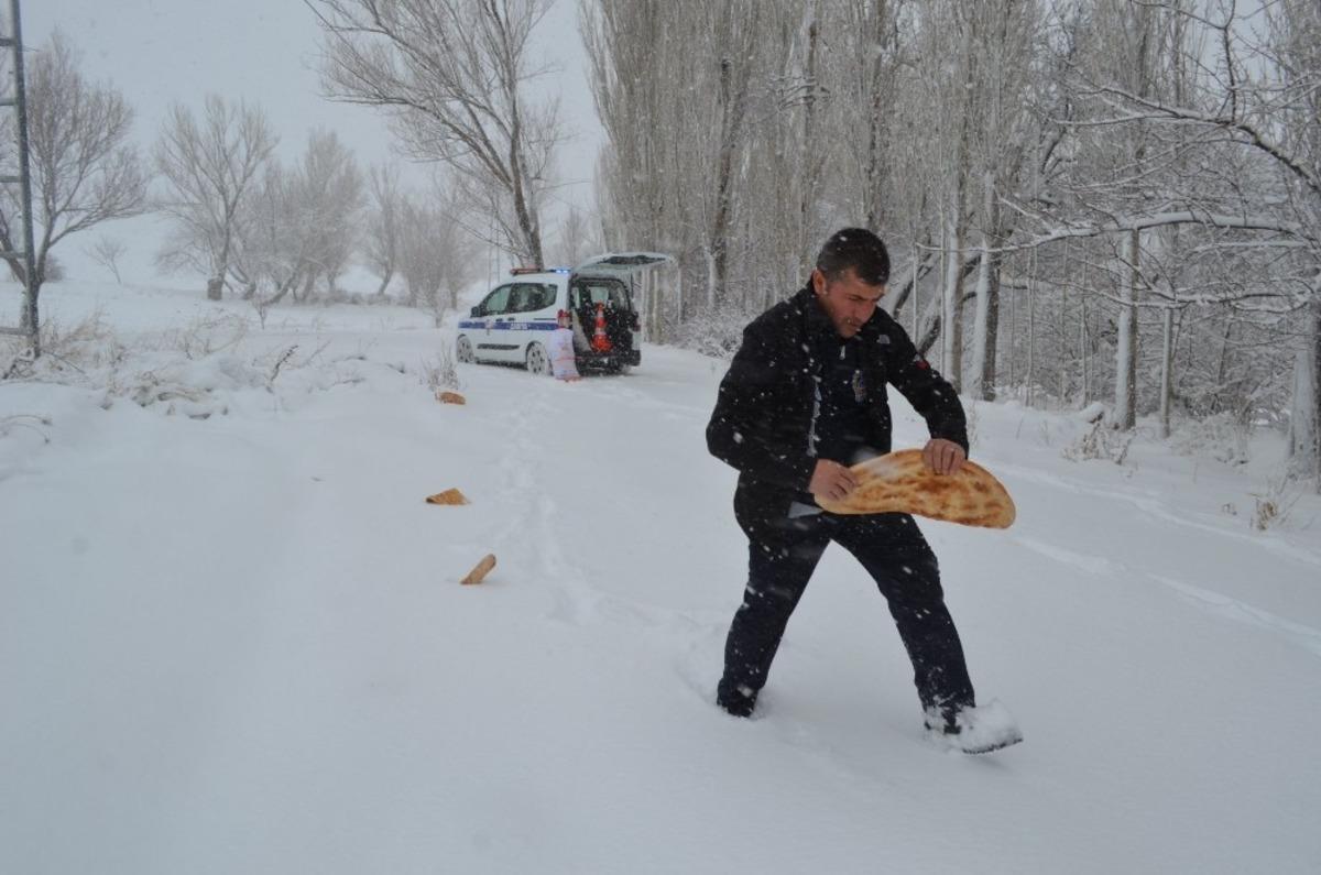 B&uuml;nyan Belediyesi yaban hayvanlarına yem bıraktı