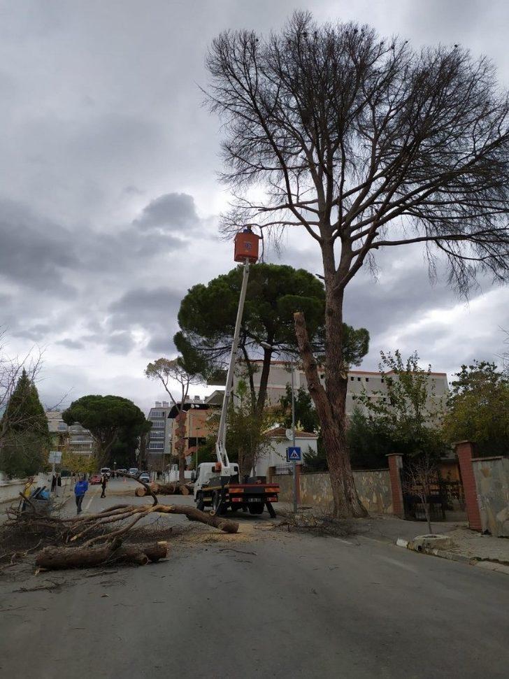 Aydın Büyükşehir Belediyesi çalışmaya devam ediyor G3