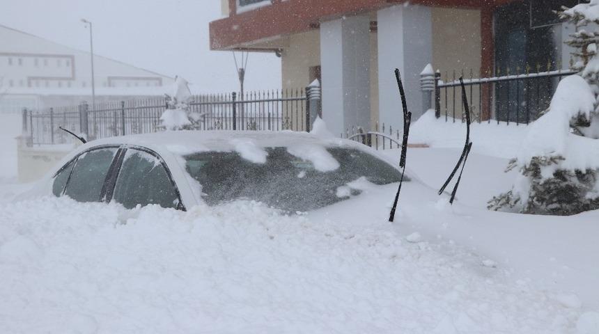 Yıldızdağı kara doydu