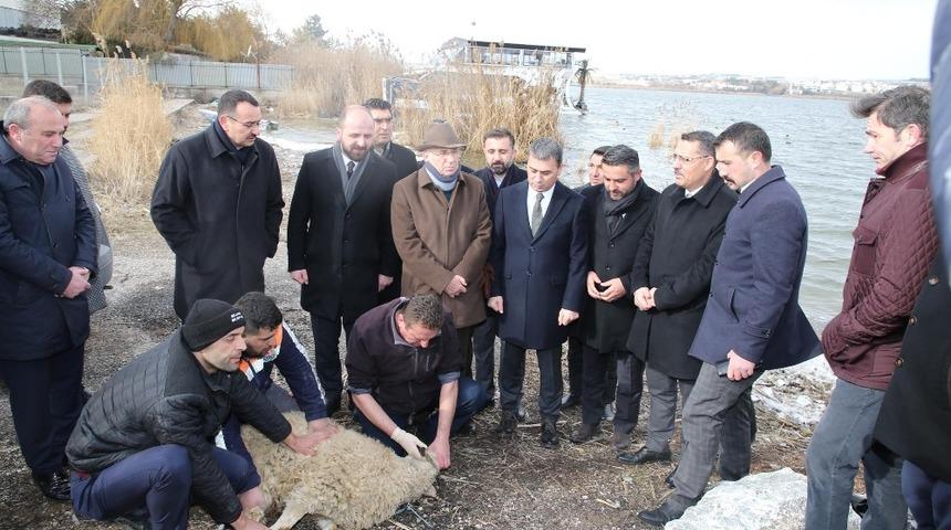 Mogan G&ouml;l&uuml;&rsquo;ne yeni d&uuml;zenleme
