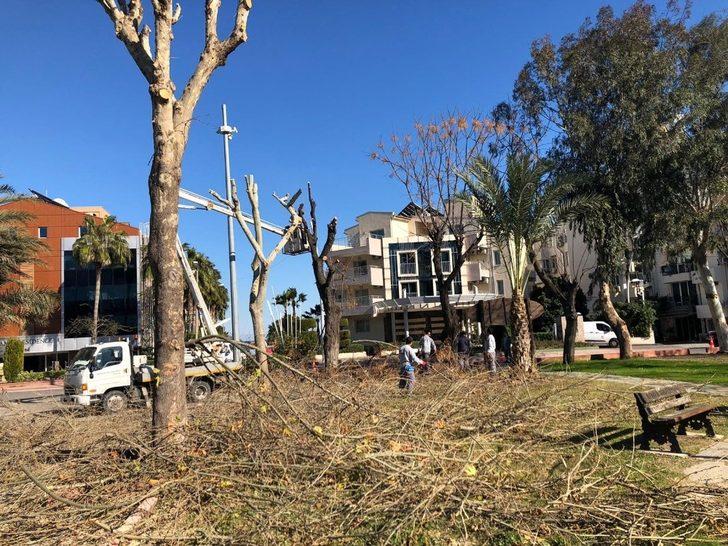 Selçuklu Av Köşkünde temizlik çalışması G2