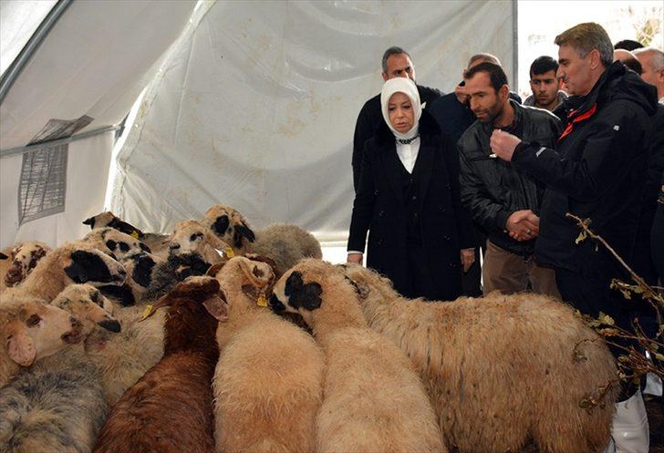 Malatya'da ağır hasarlı binaların yıkımına başlandı G3