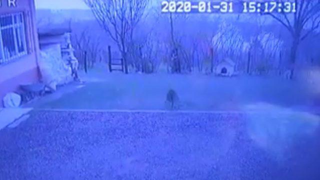 Doğal gaz borusu alev aldı, çevredeki evler boşaltıldı (3)