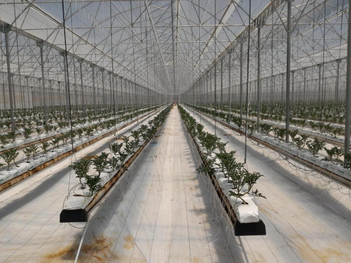 Kırsal Ekonomik Yatırım Projesi kapsamında Antalya&rsquo;ya 32 milyon TL hibe