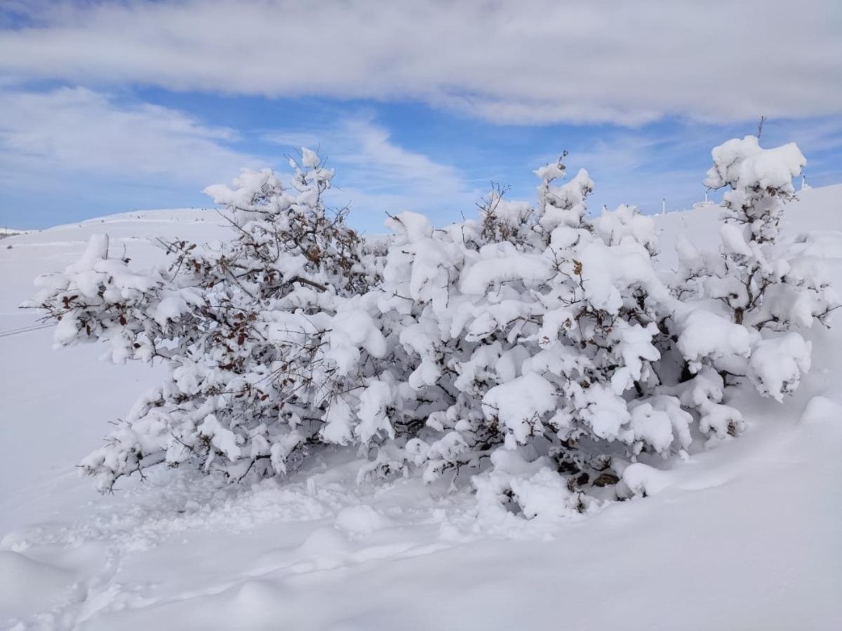 Mazıdağı&rsquo;nda etkili olan kar yağışı ve tipi ulaşımda aksamalara neden oldu