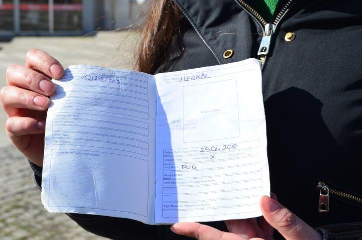 Ödünç verdiği köpeği başkasında çıktı G1