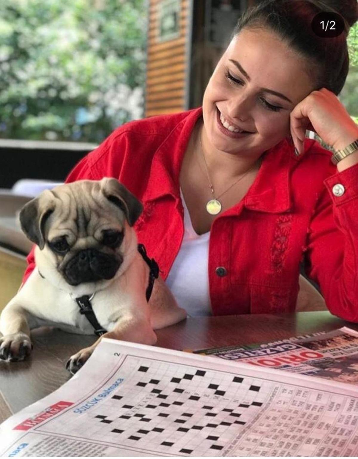 &Ouml;d&uuml;n&ccedil; verdiği k&ouml;peği başkasında &ccedil;ıktı