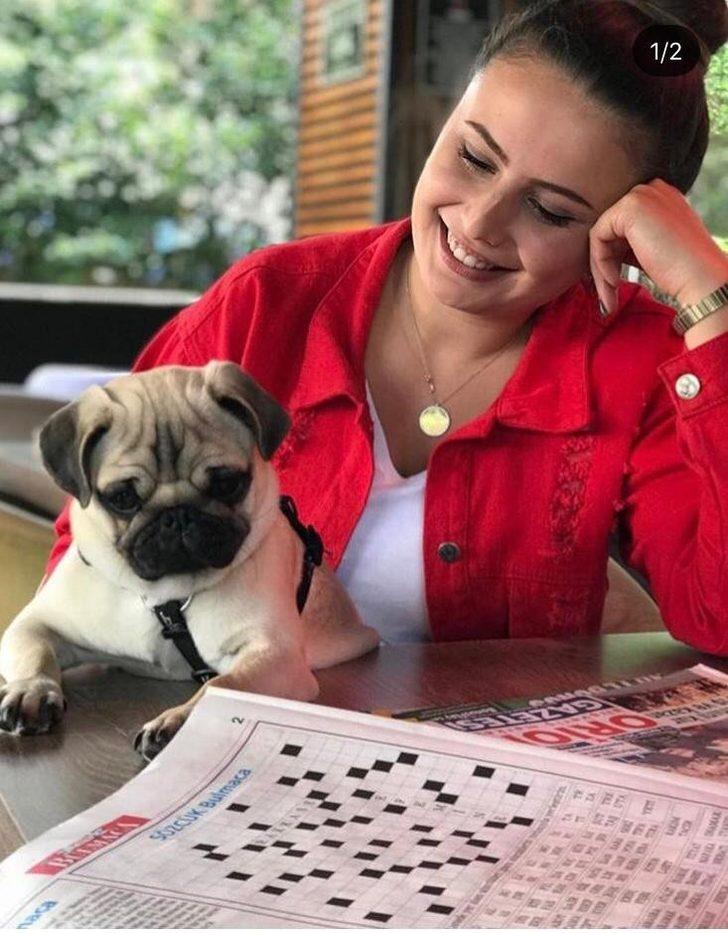 Ödünç verdiği köpeği başkasında çıktı G4