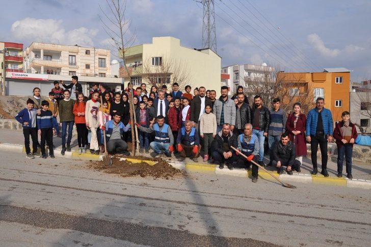 Cizre Belediyesi yeşil bir gelecek için çalışıyor G2